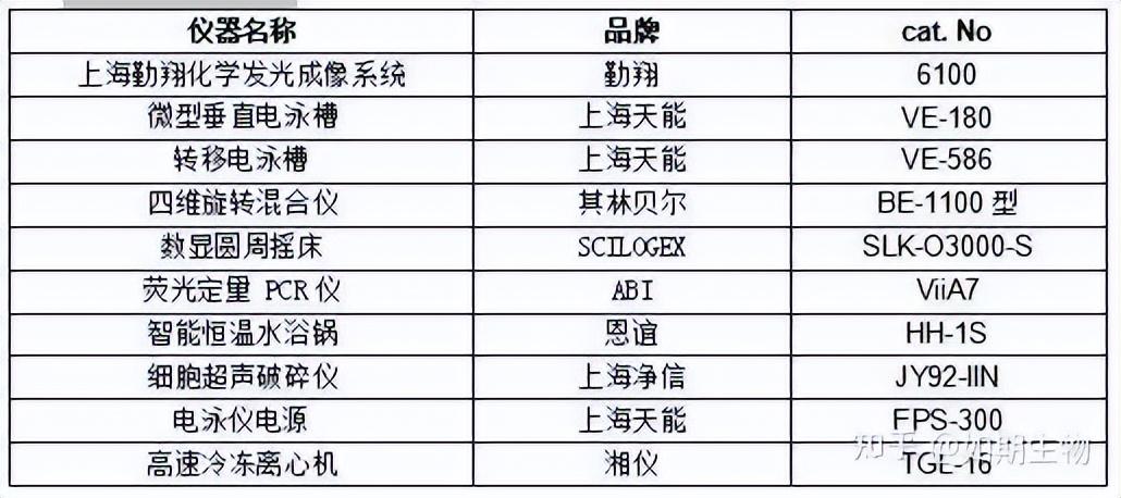 实验报告撰写指南，模板下载、关键步骤与资源获取