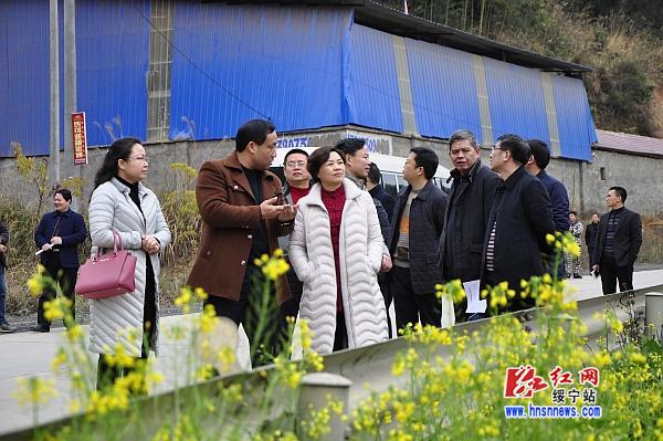 绥宁县住房和城乡建设局最新发展规划概览