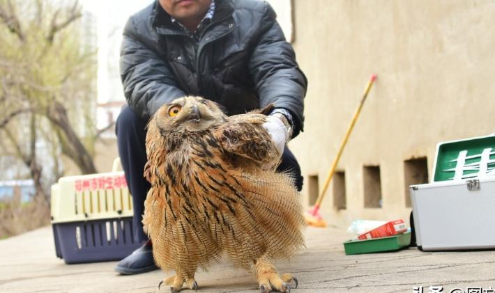 东方市住房和城乡建设局最新动态报道