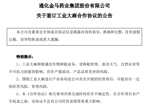 通化金马最新消息全面解读与分析