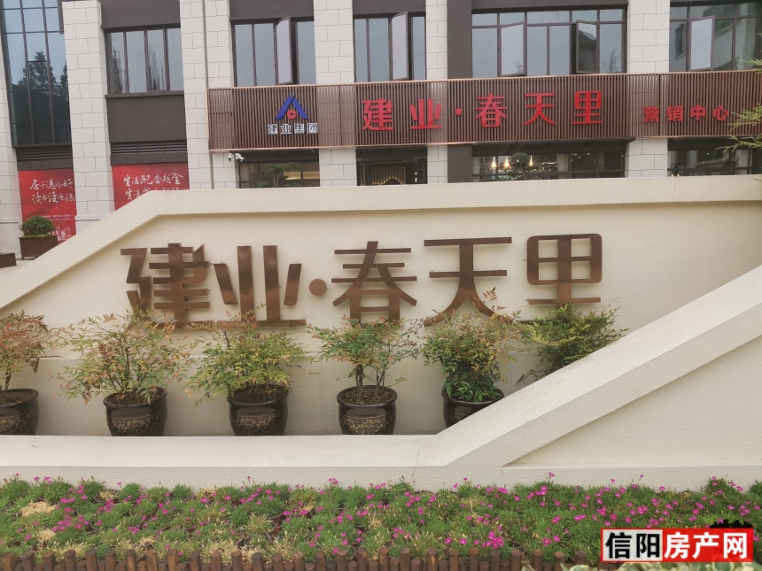 建业春天里最新动态，城市新篇章正在启航