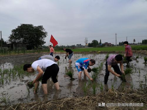 什邡市交通运输局发布最新动态