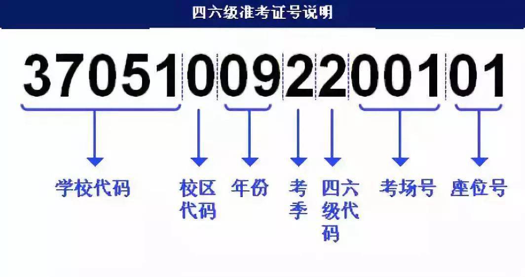 2024今晚新澳开奖号码,迅捷解答方案设计_Deluxe86.195