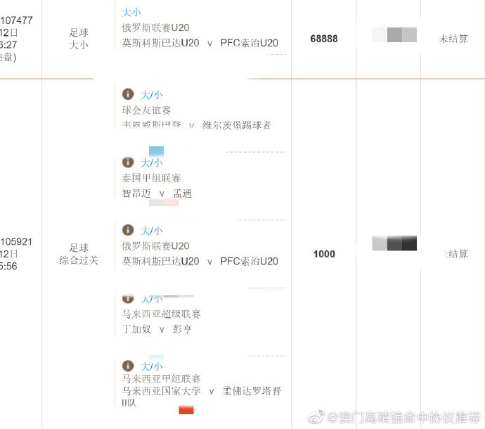 一码中精准一码免费中特澳门,高度协调策略执行_Holo40.519