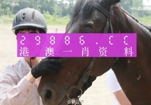 澳门今晚必中一肖一码,广泛方法评估说明_策略版11.530