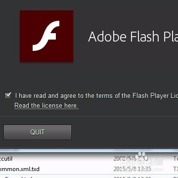 探索最新版本的Flash，功能特点与应用解析