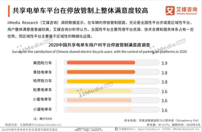 2024年正版资料免费大全亮点,科学分析解析说明_薄荷版41.11