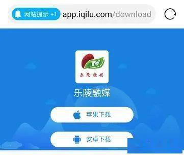 新奥门特免费资料大全管家婆,实效设计解析策略_ios89.471