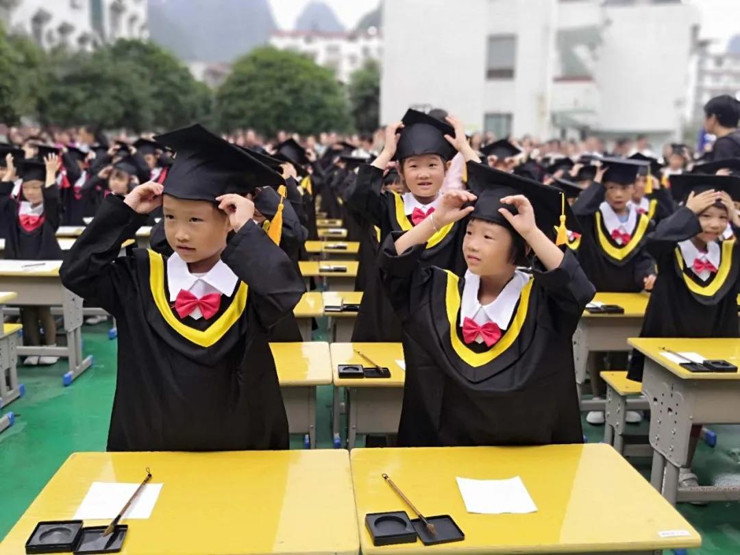 阳朔县小学未来教育蓝图，最新发展规划揭秘