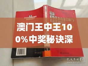 澳门王中王100%正确答案最新章节,快速方案执行指南_限量款40.811