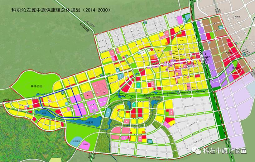 高坪区级托养福利事业单位发展规划展望