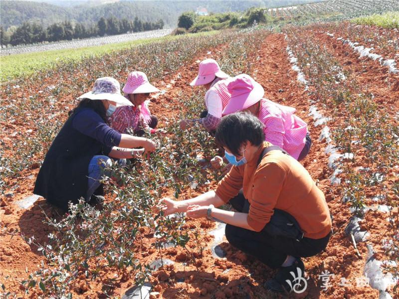 麒麟区科技局等最新新闻动态深度解读