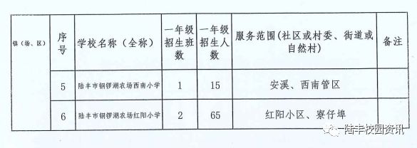 陆丰市小学未来发展规划揭晓