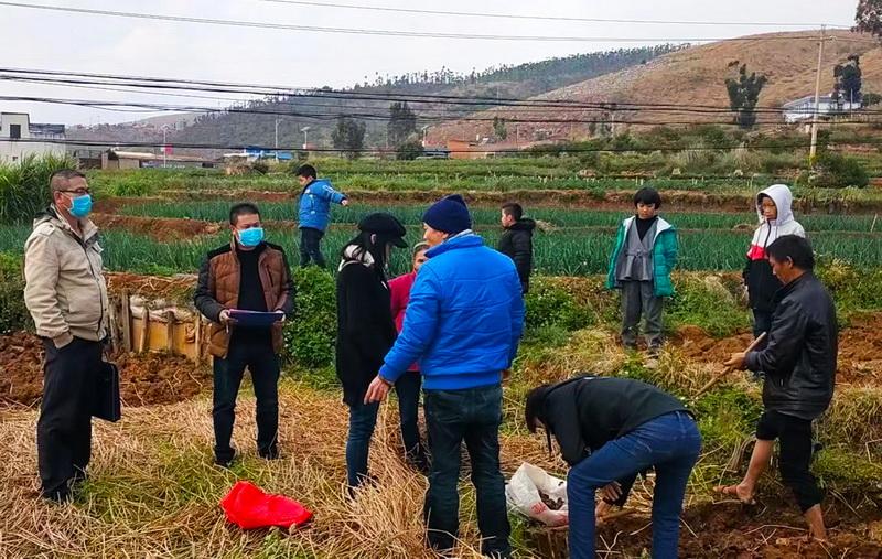 开远市特殊教育事业单位领导团队简介