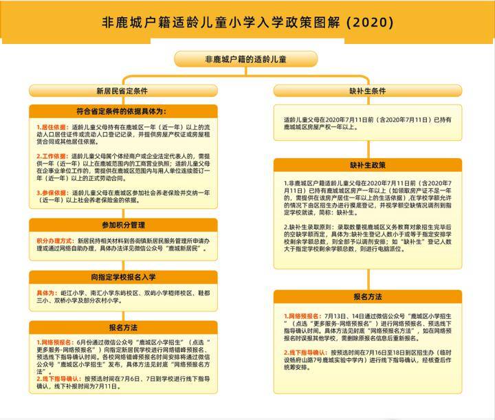 新林区小学最新招聘信息概览与解读