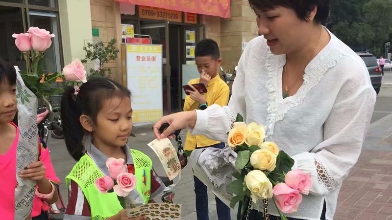 定结县小学未来发展规划概览