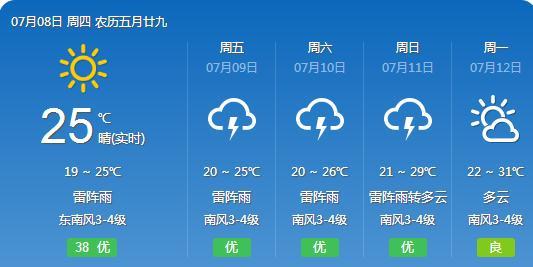 2025年1月1日 第29页