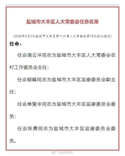 大丰市数据和政务服务局人事任命背后的深远影响揭秘