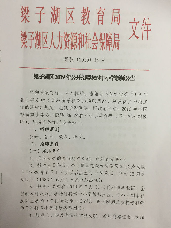 梁子湖区特殊教育事业单位最新招聘解读与公告