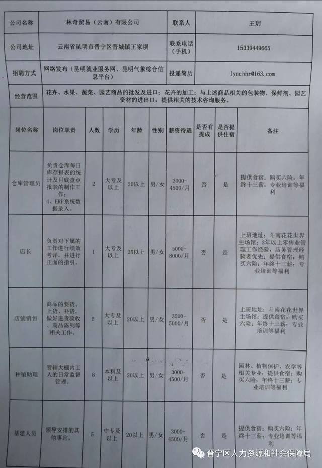 盐源县医疗保障局最新招聘公告详解