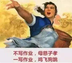 无为县初中最新发展规划，塑造未来教育的蓝图