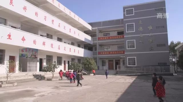 当阳市小学最新领导，引领未来教育的新篇章