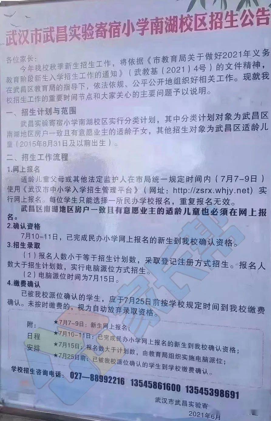 南湖区小学最新招聘公告概览