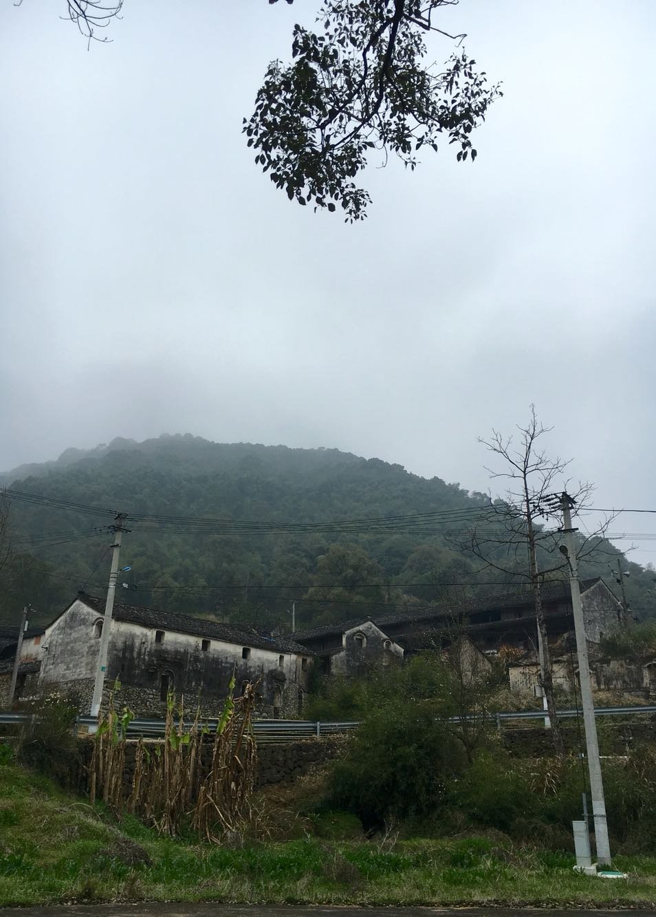 西岔镇天气预报更新通知