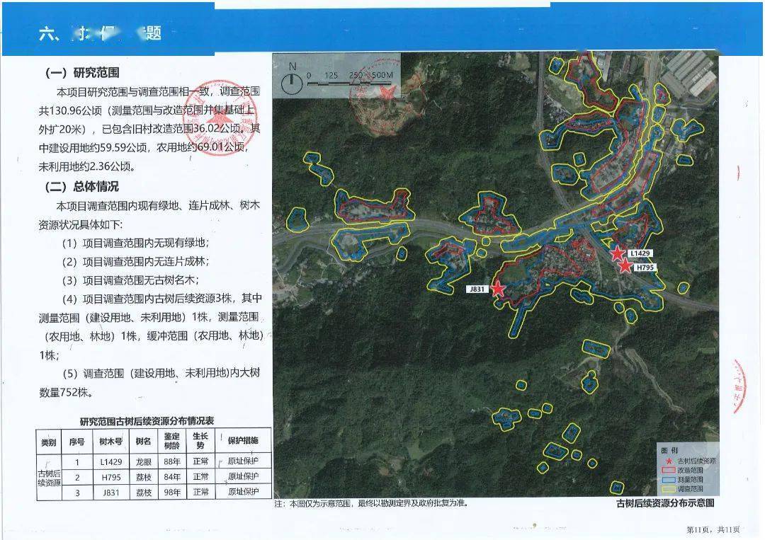 多冲村发展规划概览，最新蓝图揭秘