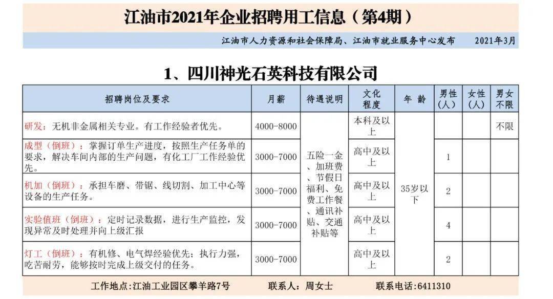 江油市审计局招聘启事概览