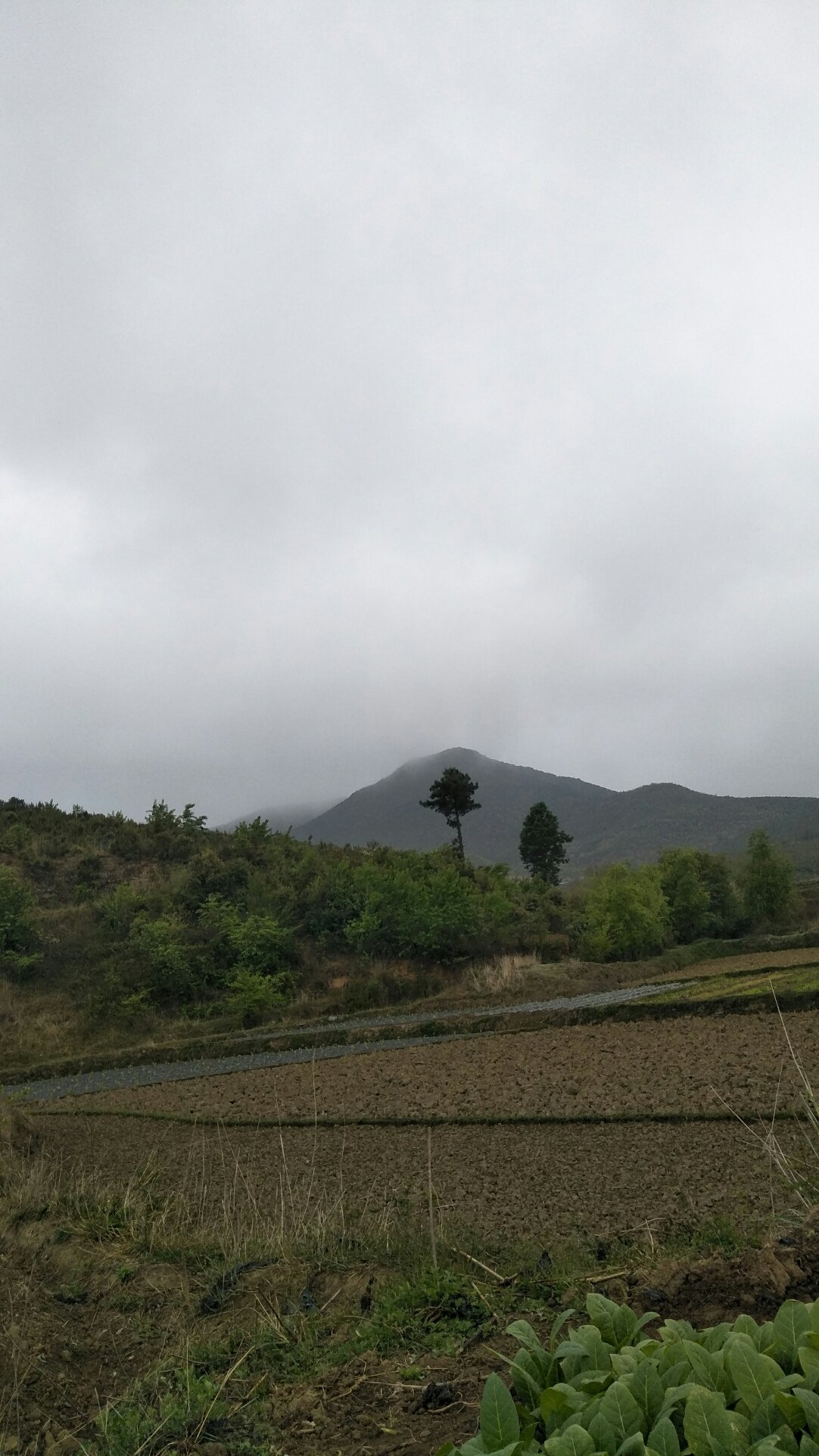 铁古山村委会天气预报更新通知