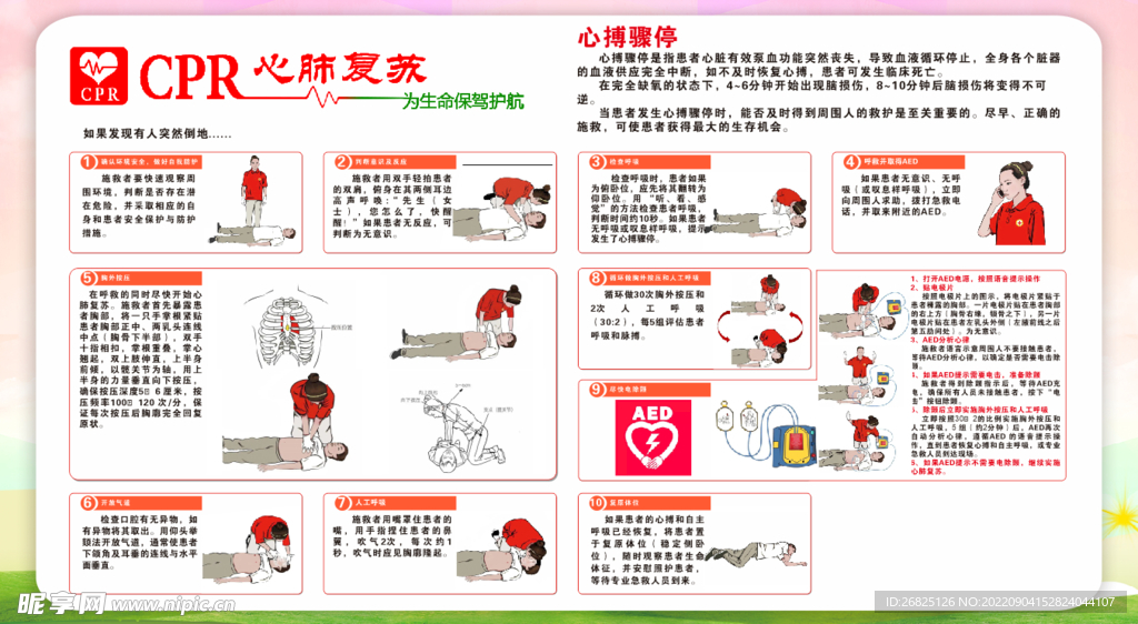 心肺复苏最新指南，拯救生命的操作手册全面解析