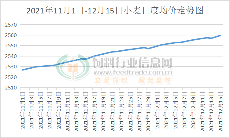 今日小麦最新价格及市场动态，影响因素深度解析