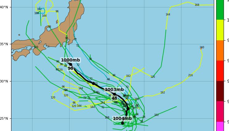 台风路径最新动态解析与预测