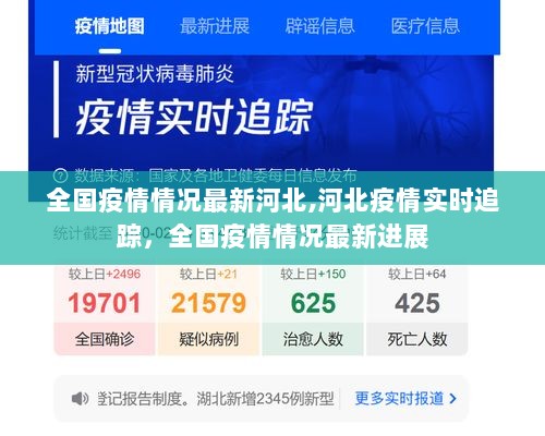 河北疫情最新情况报告概览