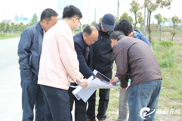 枞阳县住房和城乡建设局最新项目概览与动态